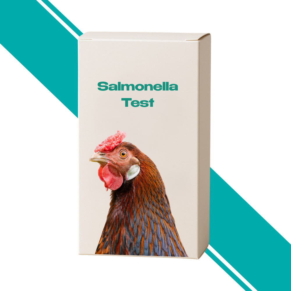 Salmonella Test